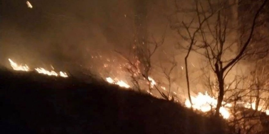 Osmaniye’de Çıkan Orman Yangını Kontrol Altına Alındı