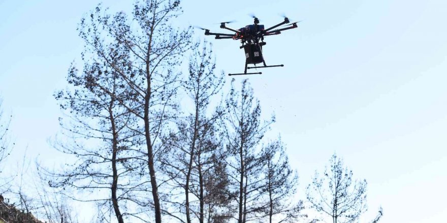 Muratpaşa, Manavgat’ta Drone İle 15 Kilogram Tohum Attı