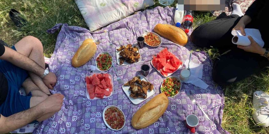 Piknikte Ekmeği Böldüklerinde Hayatlarının Şokunu Yaşadılar