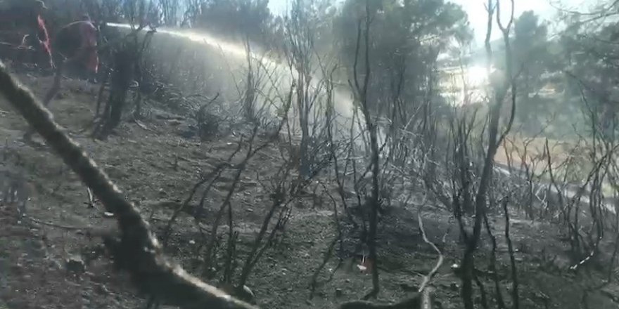Serik’te Çıkan Orman Yangını Büyümeden Söndürüldü