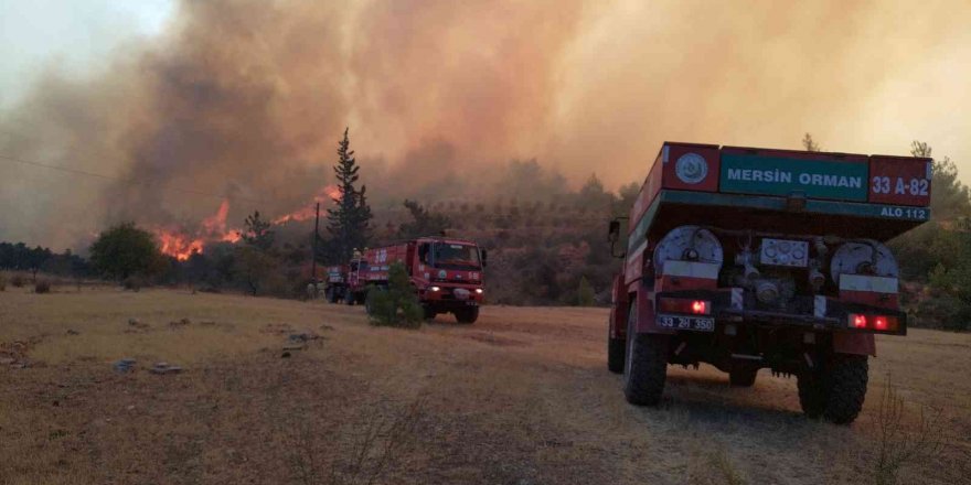 Mersin’deki Orman Yangınına 3 Uçak, 2 Helikopterle Müdahale Ediliyor