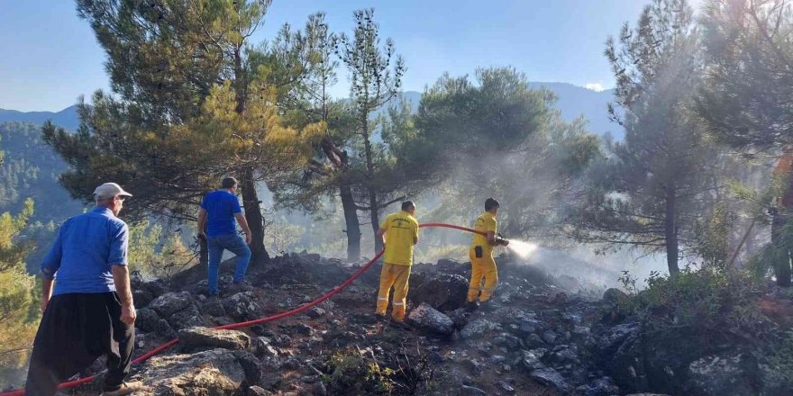 Kahramanmaraş’ta 6 Noktada Çıkan Yangın Söndürüldü, Ormanları Yakan Şüpheli Yakalandı