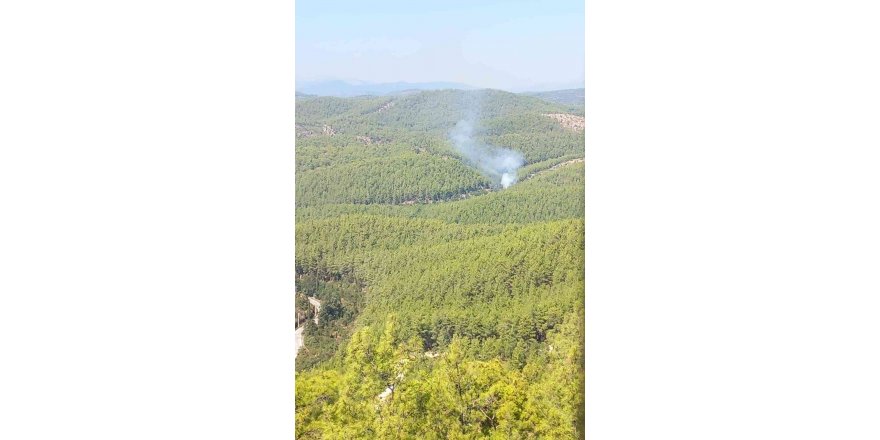 Alanya’da Orman Yangınında 2 Dönüm Alan Zarar Gördü