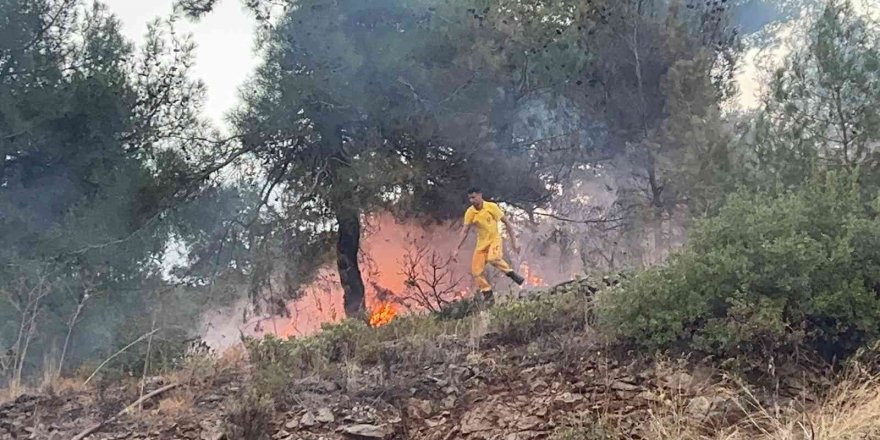 Hatay’da Ormanlık Alanda Çıkan Yangın Evlere Sıçramadan Söndürüldü