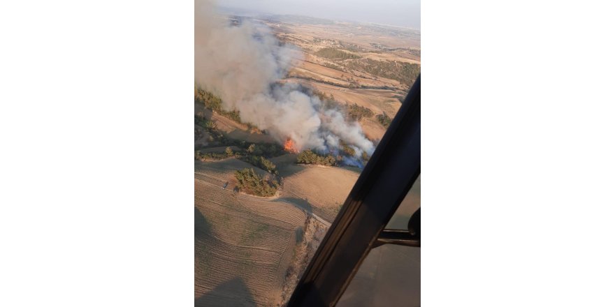 Adana’da Ormanlık Alanda Yangın Çıktı