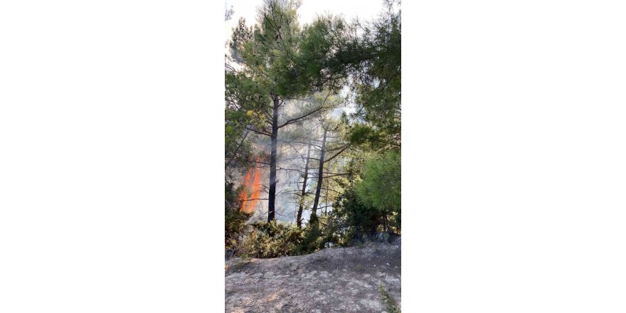 Adana’da Çifte Orman Yangını