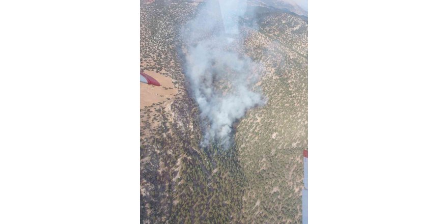 Adana’daki Orman Yangınına Müdahale Sürüyor