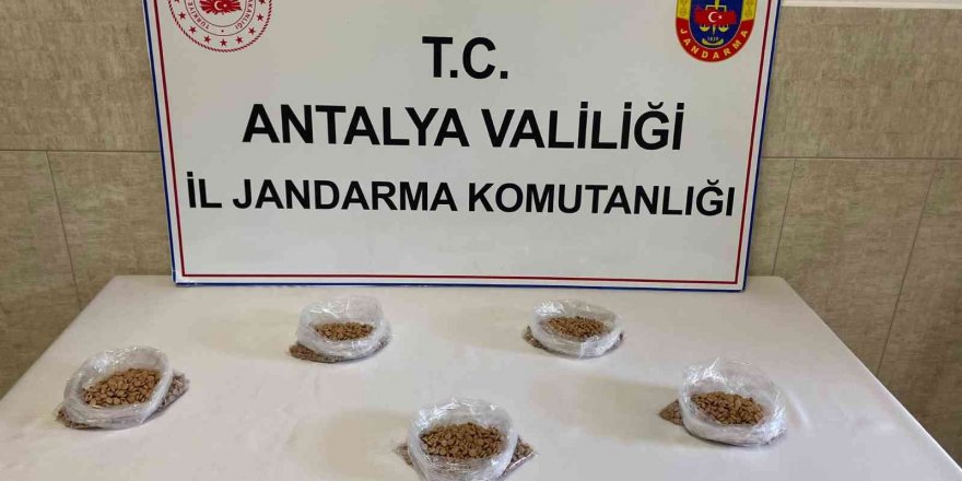 Antalya’da 5 Bin 700 Adet Uyuşturucu Hap Ele Geçirildi