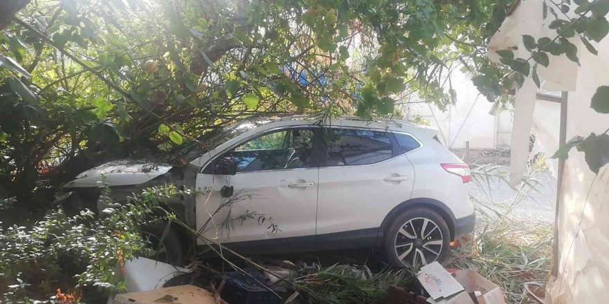 Ağaca Çarpan Otomobilin Sürücüsü Yaralandı