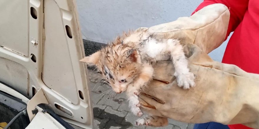 Otomobilin Motor Bölümünde Sıkışan Kedi Yavrusunu İtfaiye Kurtardı