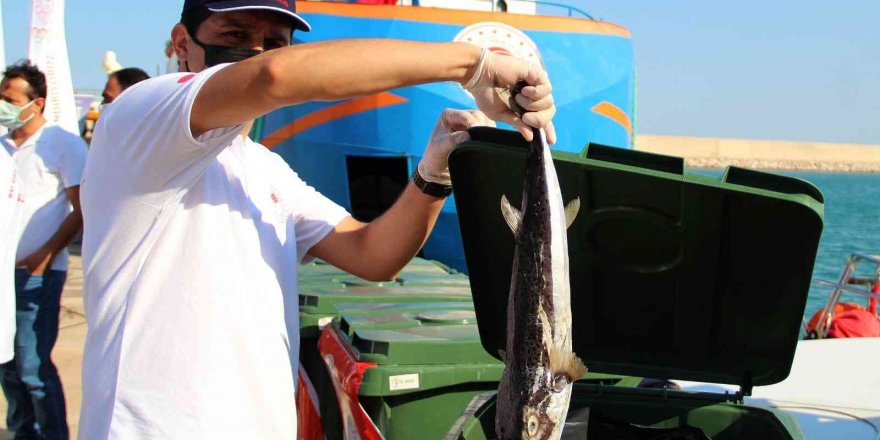 Antalya’da Balıkçılara İstilacı Balon Balığı Bereketi