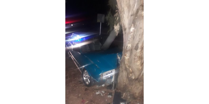 Ağaca Çarpan Otomobil Sürücüsü Ölümden Döndü