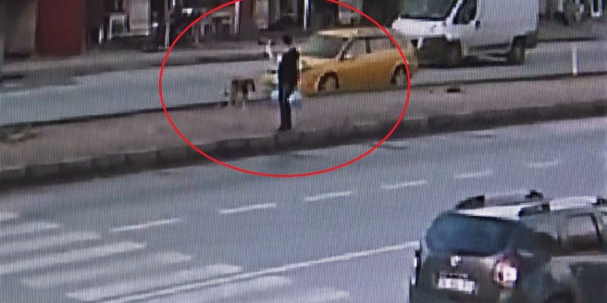 Taksi Köpeğe Böyle Çarptı, O Anları Gören Kadın Şoka Girdi