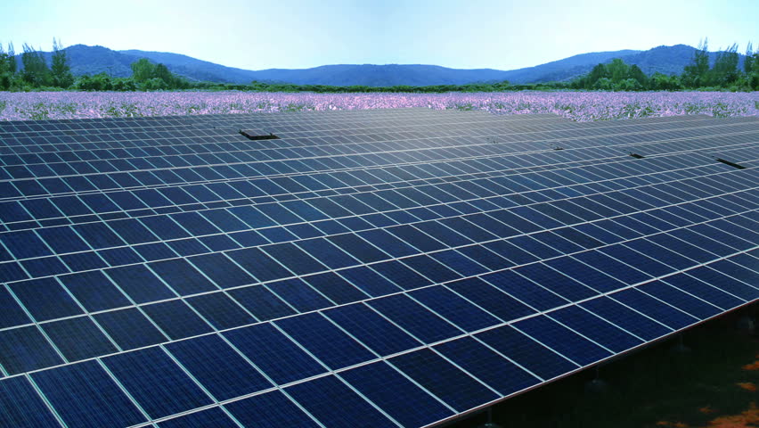 How much saving can provide Solar Energy Panels