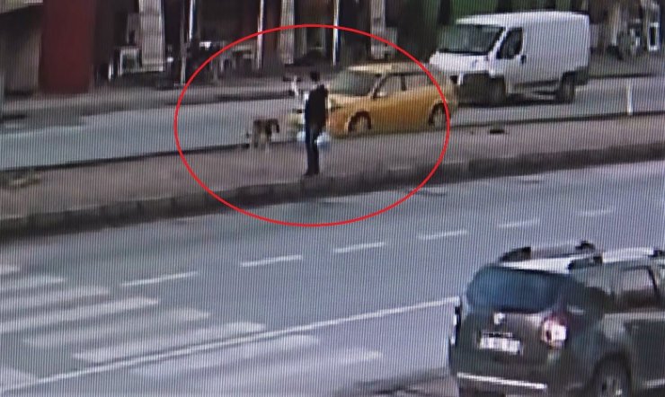 Taksi Köpeğe Böyle Çarptı, O Anları Gören Kadın Şoka Girdi