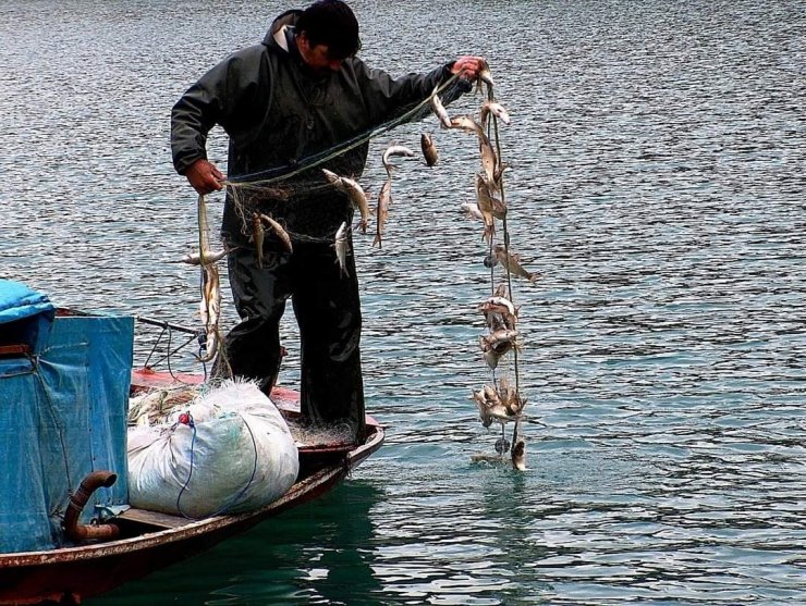 Menzelet Barajı Balıkçıların Ekmek Teknesi