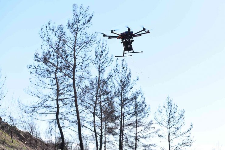 Muratpaşa, Manavgat’ta Drone İle 15 Kilogram Tohum Attı