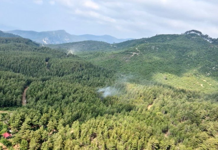 Osmaniye’deki Orman Yangını Kontrol Altına Alındı