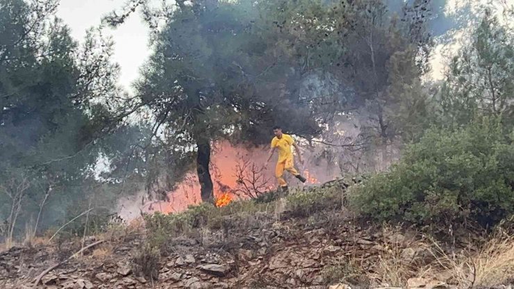 Hatay’da Ormanlık Alanda Çıkan Yangın Evlere Sıçramadan Söndürüldü