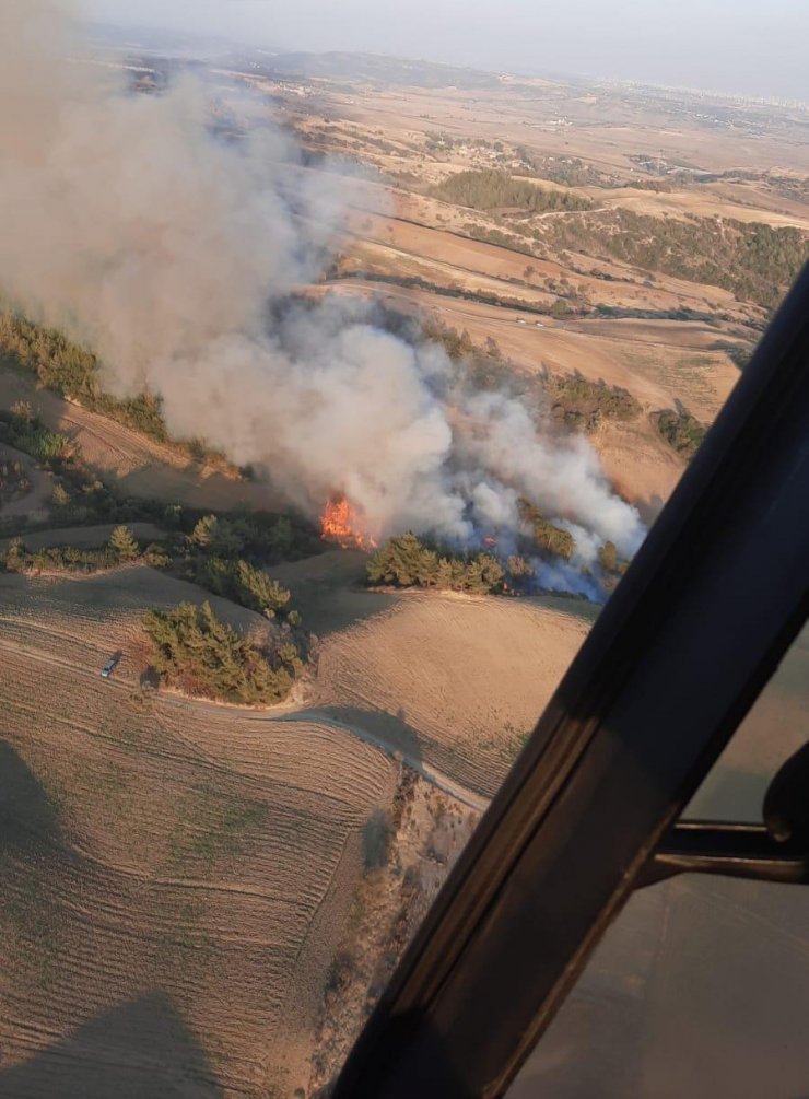 Adana’da Ormanlık Alanda Yangın Çıktı