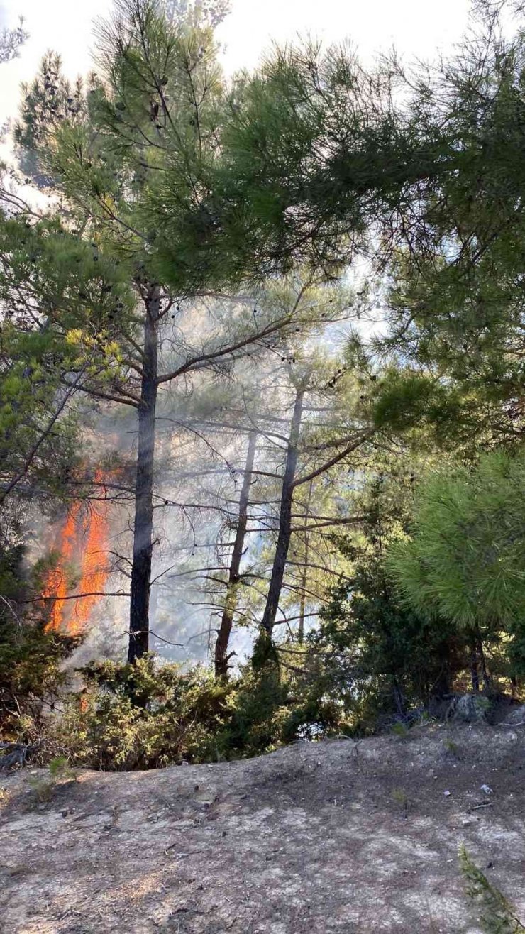 Adana’da Çifte Orman Yangını